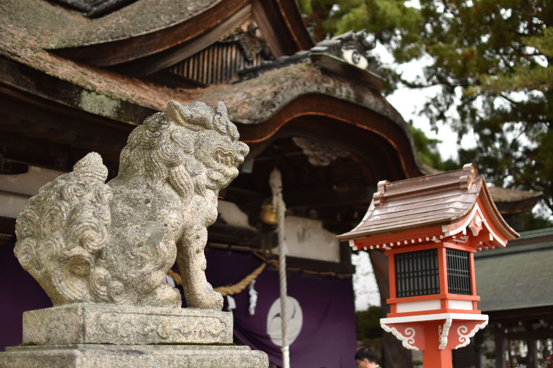 白髭神社の狛犬