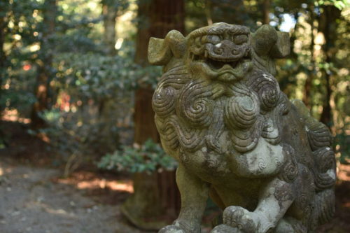 椿大神社の狛犬