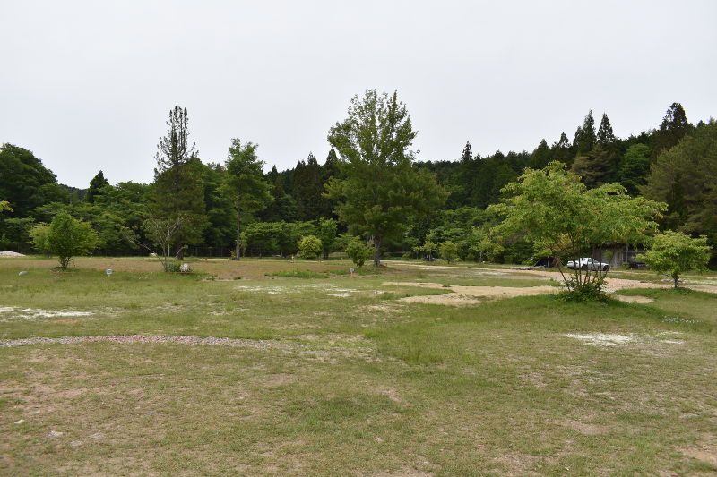 飯地高原自然テント村のフリーサイト