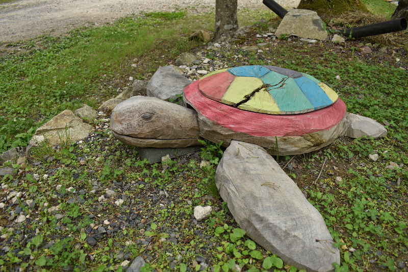 飯地高原自然テント村の亀